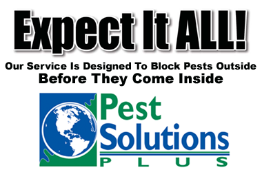 Pest Solutions Plus - Expect it all